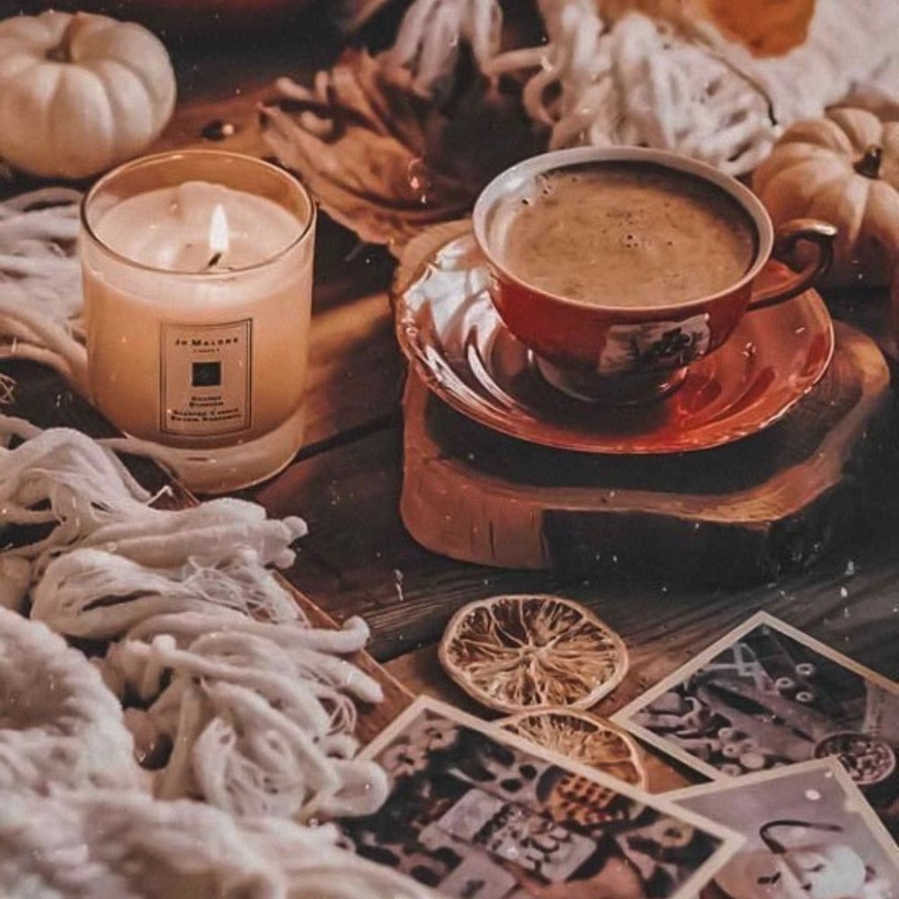 50% OFF AUTUMN SALE